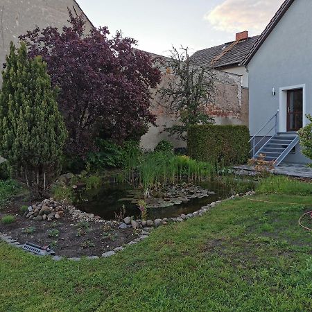 Fewo Rohleder De Mit 130M2 Und Garten Fuer 6Pers Mit 2 Bad Cottbus Luaran gambar