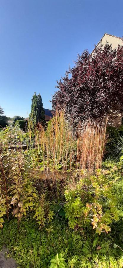 Fewo Rohleder De Mit 130M2 Und Garten Fuer 6Pers Mit 2 Bad Cottbus Luaran gambar